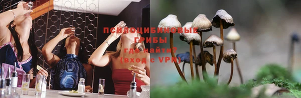 сатива Алексеевка
