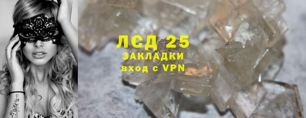 ГАЛЛЮЦИНОГЕННЫЕ ГРИБЫ Арсеньев