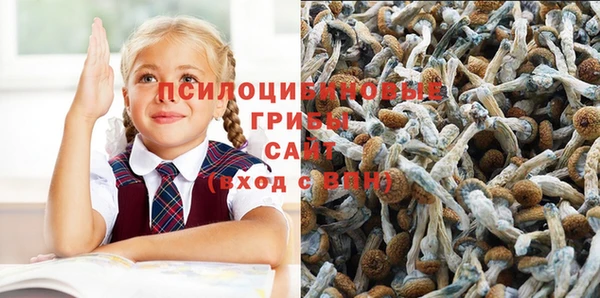 СК Алзамай