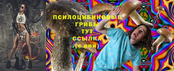 СК Алзамай