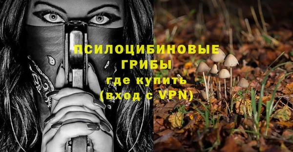 кокаин Дмитриев