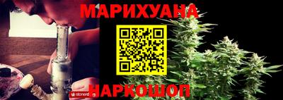 стафф Гатчина