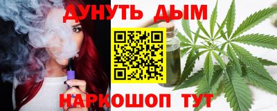 стафф Гатчина