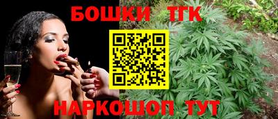 стафф Гатчина