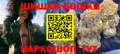 стафф Гатчина