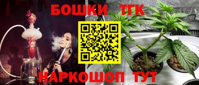 спиды Камышлов