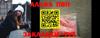 стафф Гатчина