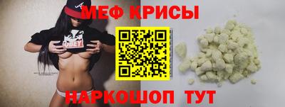 стафф Гатчина