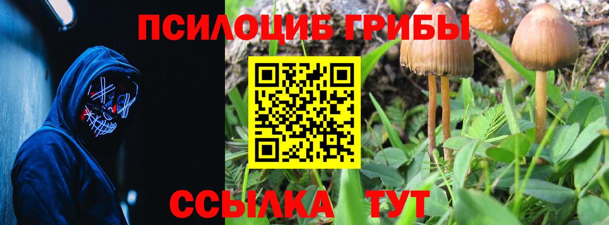 Галлюциногенные грибы прущие грибы  Галлюциногенные грибы Magic Shrooms  Вход с VPN  где продают   Конаково 